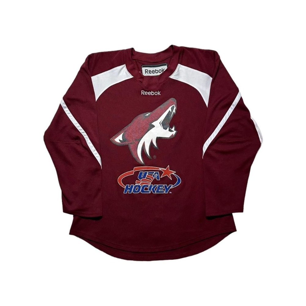 Y2K Arizona Coyotes Howler Jersey
